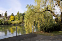 Photo-Victoria-183-2011-09-18-Gorge-Waterway-Victoria-B.C.