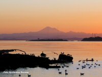 Photo-Victoria-55-2007-09-11-MOUNT-BAKER-FROM-VICTORIA-B.C