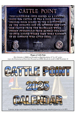 My 2025 CALENDAR - With My CATTLE POINT Photos