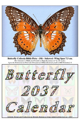 2037 Calendar with my Butterfly Photos-3