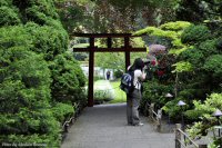 photo-Butchart-Gardens-55-2010-05-17-OUT-OF-JAPANESE-GARDEN-VICTORIA-B.C