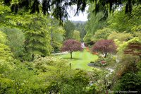 photo-Butchart-Gardens-60-2010-05-17-THE-SUNKEN-GARDEN-VICTORIA-B.C