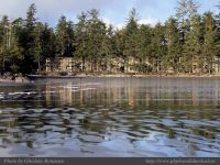 photo-COX-BAY-23-2008-12-22-189-View-from-Cox-Bay-Beach-Tofino-B.C.