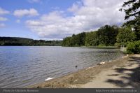 photo-ELK-Lake-09-LONELY-DUCK-2014-06-09