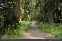 photo-ELK-Lake-15-Going-to-the-Park-2014-06-09