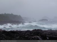 photo-East-of-Amphitrite-Lighthouse-36-2009-01-05-526-Near-Ucluelet-B.C.