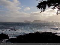 photo-East-of-Amphitrite-Lighthouse-56-2009-01-08-82-Near-Ucluelet-B.C.