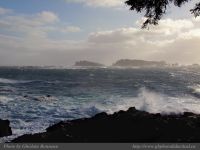 photo-East-of-Amphitrite-Lighthouse-57-2009-01-08-97-Near-Ucluelet-B.C.