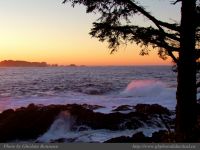 photo-East-of-Amphitrite-Lighthouse-70-2009-01-19-173-At-Sunrise-Near-Ucluelet-B.C.