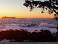 photo-East-of-Amphitrite-Lighthouse-74-2009-01-19-197-At-Sunrise-Near-Ucluelet-B.C.