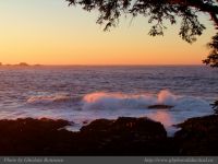 photo-East-of-Amphitrite-Lighthouse-76-2009-01-19-222-At-Sunrise-Near-Ucluelet-B.C.