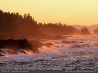 photo-East-of-Amphitrite-Lighthouse-78-2009-01-19-235-After-Sunrise-Near-Ucluelet-B.C.