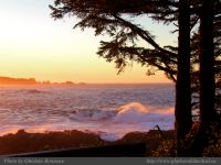 photo-East-of-Amphitrite-Lighthouse-79-2009-01-19-245-After-Sunrise-Near-Ucluelet-B.C.