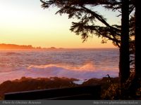 photo-East-of-Amphitrite-Lighthouse-80-2009-01-19-247-After-Sunrise-Near-Ucluelet-B.C.
