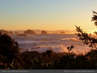 photo-East-of-Amphitrite-Lighthouse-84-2009-01-19-272-After-Sunrise-Near-Ucluelet-B.C.