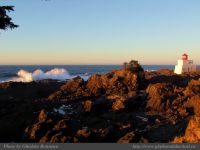 photo-East-of-Amphitrite-Lighthouse-85-2009-01-19-288-After-Sunrise-Near-Ucluelet-B.C.