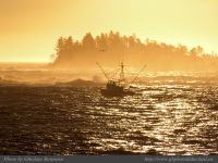 photo-East-of-Amphitrite-Lighthouse-93-2009-01-19-360-After-Sunrise-Near-Ucluelet-B.C.