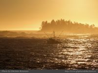 photo-East-of-Amphitrite-Lighthouse-94-2009-01-19-361-After-Sunrise-Near-Ucluelet-B.C.