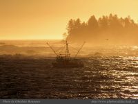 photo-East-of-Amphitrite-Lighthouse-95-2009-01-19-362-After-Sunrise-Near-Ucluelet-B.C.