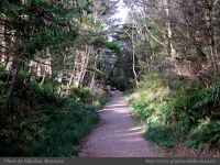 photo-Florencia-Bay-04-2008-12-16-278-TRAIL-TO-FLORENCIA-BAY