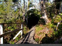 photo-He-Tin-Kis-Trail-09-2009-01-18-499-UCLUELET-B.C