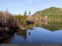 photo-Kennedy-Lake-09-2009-01-16-37-NEAR-UCLUELET-B.C