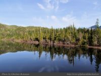 photo-Kennedy-Lake-12-2009-01-16-50-NEAR-UCLUELET-B.C