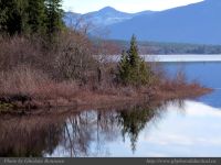 photo-Kennedy-Lake-15-2009-01-16-59-NEAR-UCLUELET-B.C8