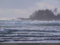 photo-Long-Beach-22-2008-12-22-131-Near-Tofino-B.C.