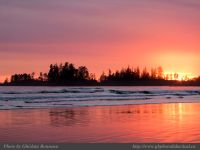 photo-Long-Beach-42-2009-01-14-609-SUNSET-Near-Tofino-B.C.