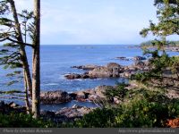photo-Marine-Drive-Point-02-2008-12-19-56-View-West-From-Marine-Drive-Point