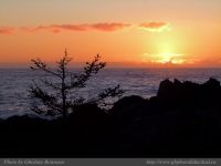 photo-OCEAN-WEST-03-2008-12-25-556-At-Sunset-Near-Ucluelet-B.C.