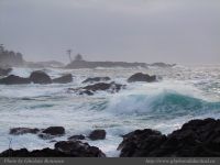 photo-OCEAN-WEST-15-2008-12-31-222-Near-Ucluelet-B.C.