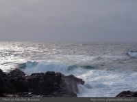photo-OCEAN-WEST-17-2008-12-31-278-Near-Ucluelet-B.C.
