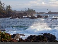 photo-OCEAN-WEST-38-2009-01-01-54-Near-Ucluelet-B.C.
