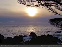photo-OCEAN-WEST-41-2009-01-01-223-At-Sunset-Near-Ucluelet-B.C.