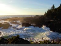 photo-OCEAN-WEST-85-2009-01-16-74-Near-Ucluelet-B.C.