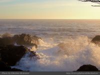 photo-OCEAN-WEST-88-2009-01-16-98-Near-Ucluelet-B.C.