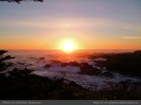 photo-OCEAN-WEST-93-2009-01-16-175-At-Sunset-Near-Ucluelet-B.C.
