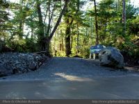 photo-Ocean-West-Trail-02-2009-01-19-07-Ucluelet-B.C.