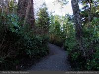 photo-Ocean-West-Trail-07-2009-01-19-14-Ucluelet-B.C.