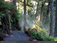 photo-Ocean-West-Trail-09-2009-01-15-37-Ucluelet-B.C.