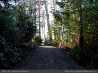 photo-Ocean-West-Trail-12-2009-01-19-15-Ucluelet-B.C.