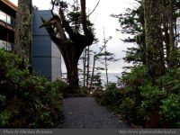 photo-Ocean-West-Trail-16-2009-01-03-01-Ucluelet-B.C.