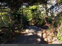 photo-Ocean-West-Trail-21-2009-01-19-26-Ucluelet-B.C.