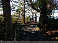 photo-Ocean-West-Trail-23-2009-01-19-29-Ucluelet-B.C.