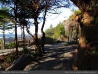 photo-Ocean-West-Trail-24-2009-01-19-30-Ucluelet-B.C.