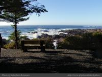 photo-Ocean-West-Trail-26-2009-01-19-32-Ucluelet-B.C.