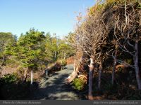 photo-Ocean-West-Trail-28-2009-01-19-36-Ucluelet-B.C.