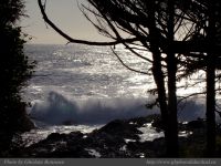 photo-Ocean-West-Trail-36-2008-12-25-63-Ucluelet-B.C.
